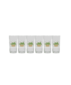 Juego de 6 Vasos Decorado Canasta