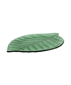 Platon Hoja Verde